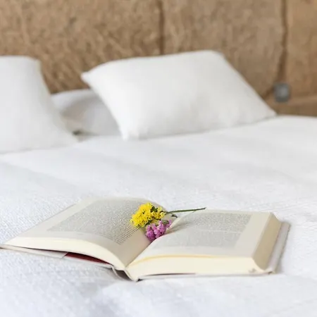 Elduayen Apartamento